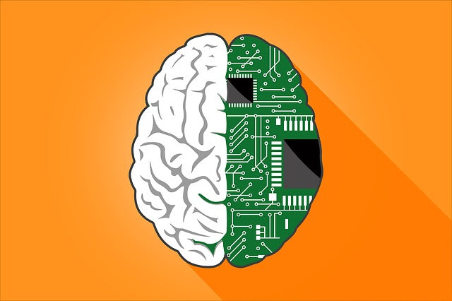 How Digital Technology Shapes Cognitive Function