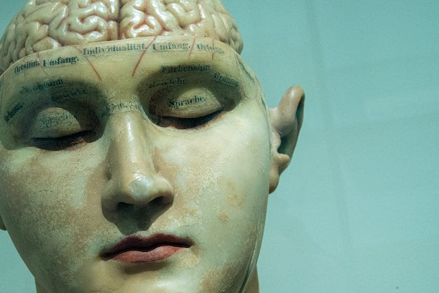 5 New Ways to Improve Your Memory