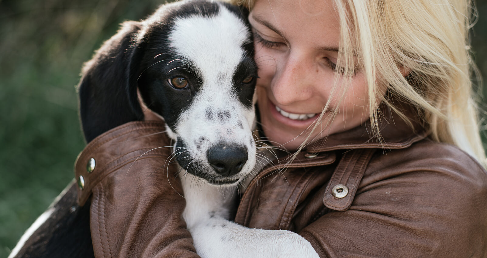 How to start a successful dog walking business Open Colleges