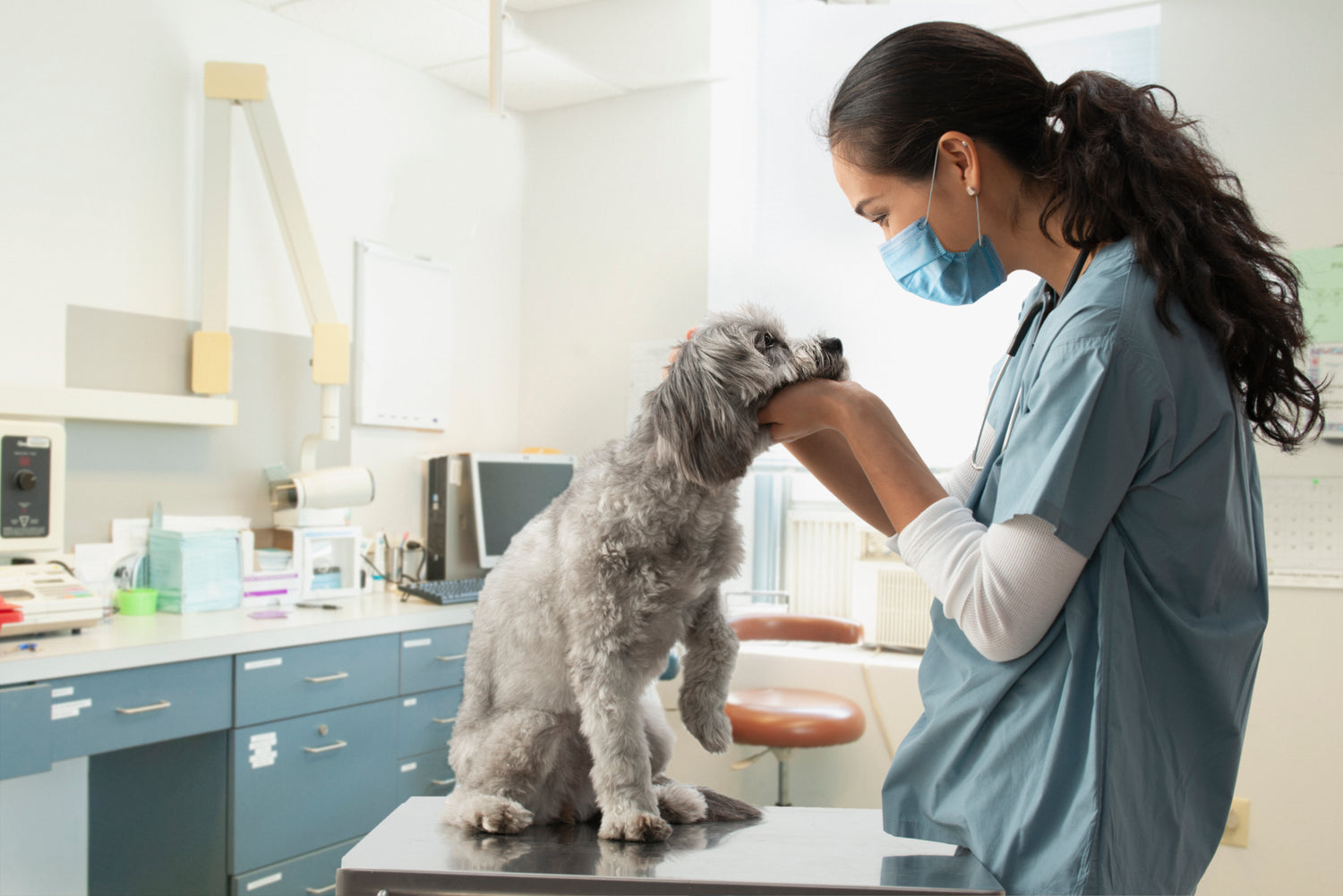 10 reasons to start a career in animal care