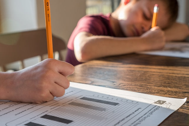 The Tyranny of Homework: 20 Reasons to Stop Assigning Homework Over the Holidays