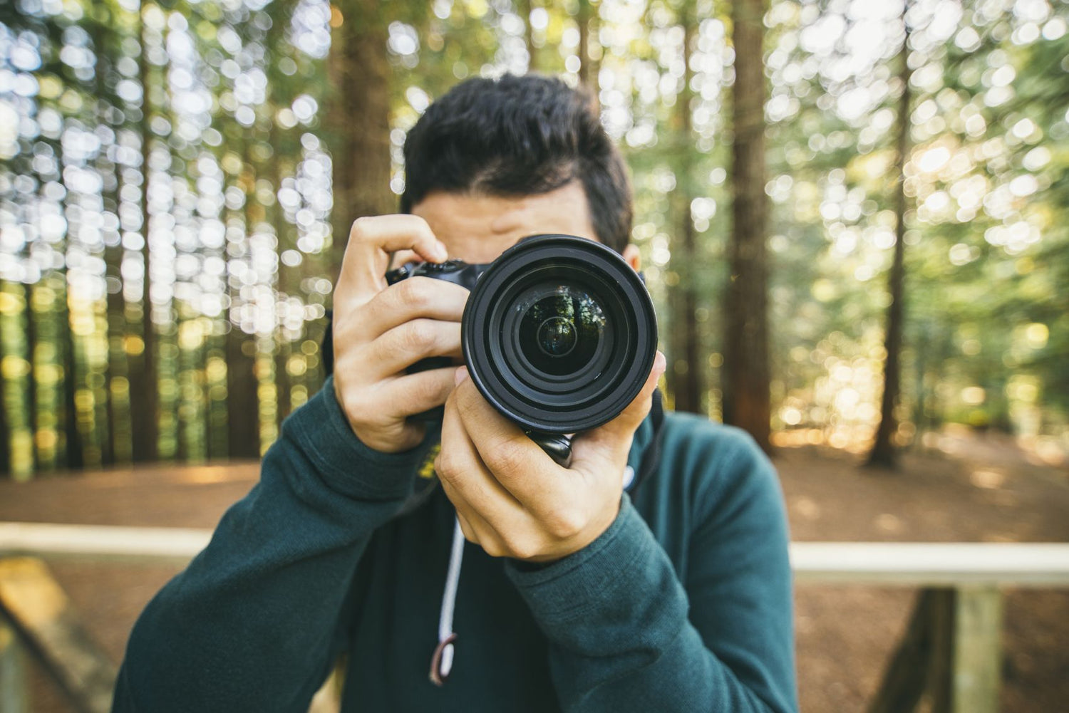 An Easy Visual Guide to a Career In Photography [Infographic]