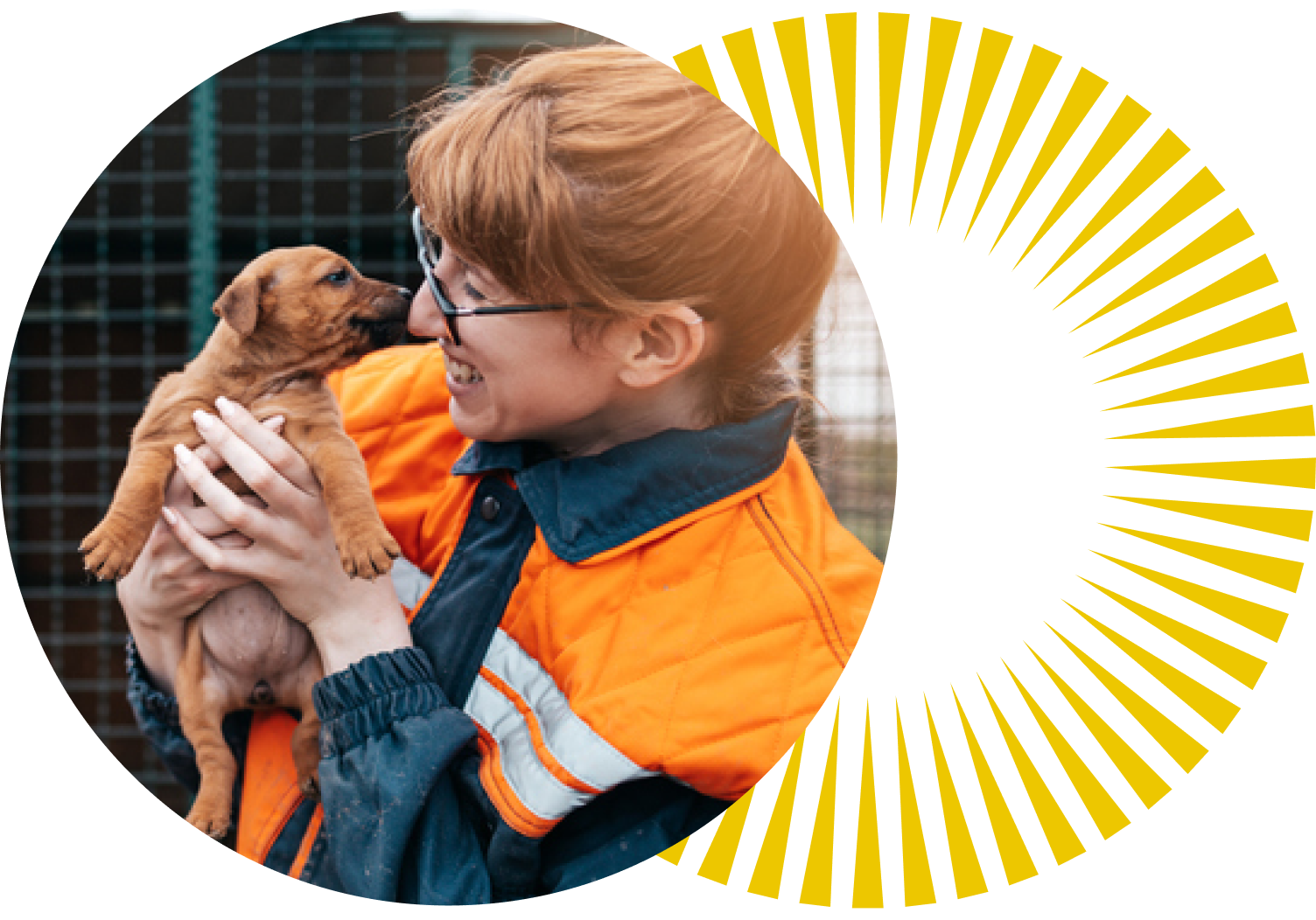 Environment & Animal Care Courses Online Open Colleges